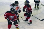 U8 und U10 Turnier Hart, Jänner 2014