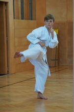 Karate Gürtelprüfung - Gelb-Kids