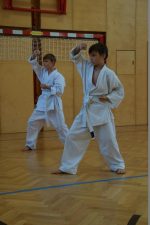 Karate Gürtelprüfung - Gelb-Kids