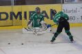 Team Steiermark Hockey-Saison