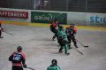 Team Steiermark Hockey-Saison