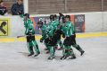 Team Steiermark Hockey-Saison