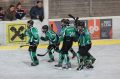 Team Steiermark Hockey-Saison