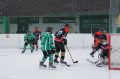 Team Steiermark Hockey-Saison