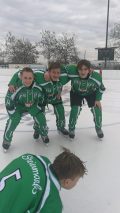 Team Steiermark Hockey-Saison